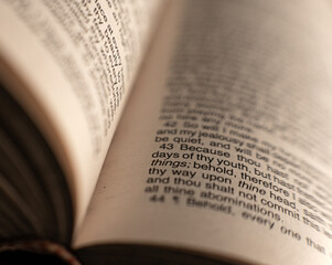 Holy Bible close up page