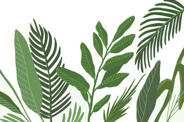 tropical leaves isolated on a white background, handdrawn flat illustrations