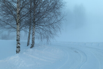 White winter landscape with fog and birches on a bend in the road