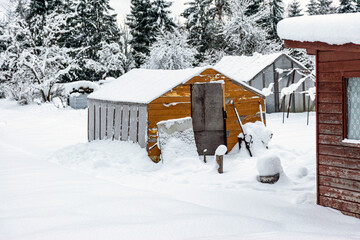 garden in winter, covered with snow, fruit trees, garden house and garden accessories