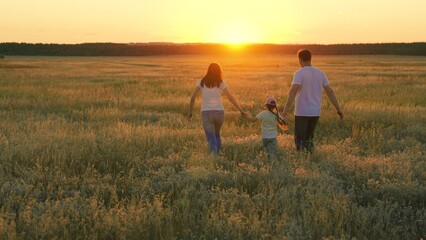 Fototapeta na wymiar Family walks on green grass in meadow. Happy family, child, are walking in summer field, holding hands. Mom dad daughter walking together on nature. Parents, children are walking in park at sunset.