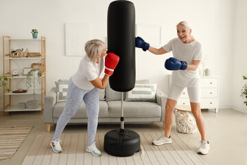 Mature female friends in boxing gloves punching bag at home
