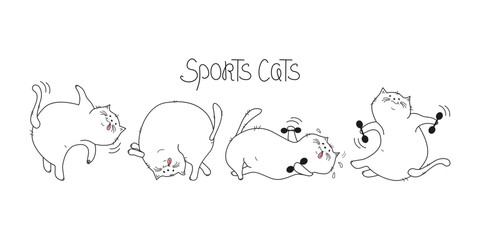 Cartoon Sports cats, training. Set,  lettering. Fat happy cats doing gymnastics. Cat with dumbbells, in yoga pose. Body positive. Doodle. Vector illustration. Background isolated.