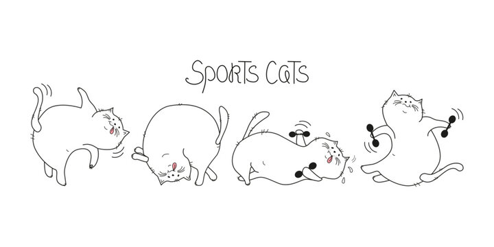 Cartoon Sports cats, training. Set,  lettering. Fat happy cats doing gymnastics. Cat with dumbbells, in yoga pose. Body positive. Doodle. Vector illustration. Background isolated.