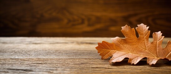 Naklejka na ściany i meble Oak leaf on wooden counter