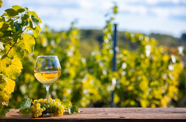 Verre de vin blanc dans un vignoble en France à l'automne et sa grappe de raisin blanc.
