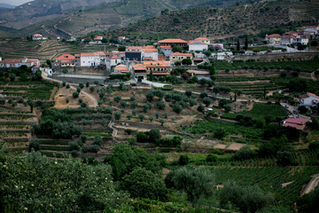 Village on a slope among vineyards in the Douro Valley, Portugal. - obrazy, fototapety, plakaty