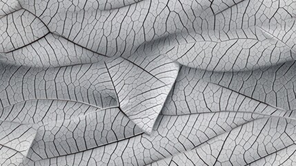 Obraz premium a black and white photo of a pattern of leaf like shapes on the surface of the surface of a surface.