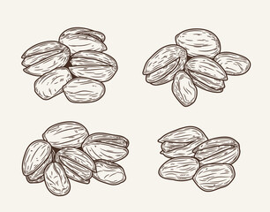 Set of vector pistachio hand-drawn sketch illustrations. Hand-drawn pistachio icons