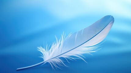  a close up of a white feather floating on a body of water with a blue sky in the back ground.