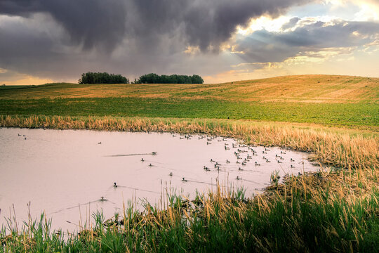 Ponds and farm lands on the prairie Kneehill County Alberta Canada
