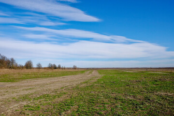Fototapeta na wymiar A dirt road stretching into the distance under a blue sky.