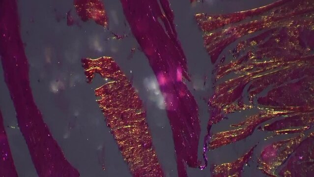 Tongue in longitudinal section showing filiform papillae under microscope 100x with oblique illumination to view contrast of structure. Study human organ feeling tastes. Research of organism parts