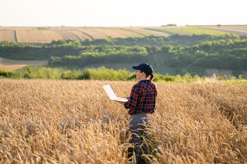 Woman farmer working with laptop on wheat field. Smart farming and digital agriculture