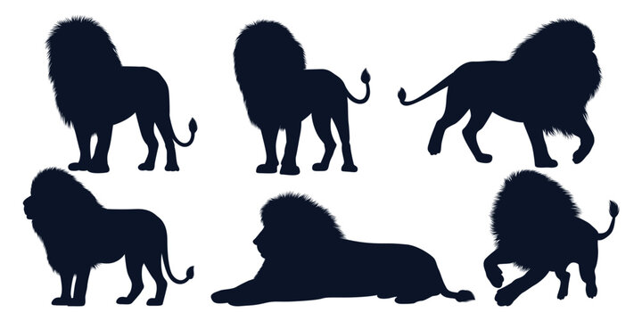 Animal Lion Silhouettes vector art