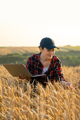 Naklejka na ściany i meble Woman farmer working with laptop on wheat field. Smart farming and digital agriculture