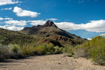 Mountains Surround Picture Rocks Wash In Saguaro