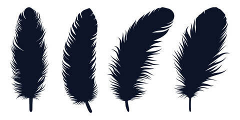 Bird Different types Feathers silhouettes vector art - obrazy, fototapety, plakaty