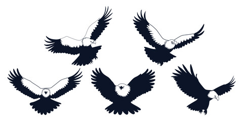 American Eagle Bird Silhouettes Vector art