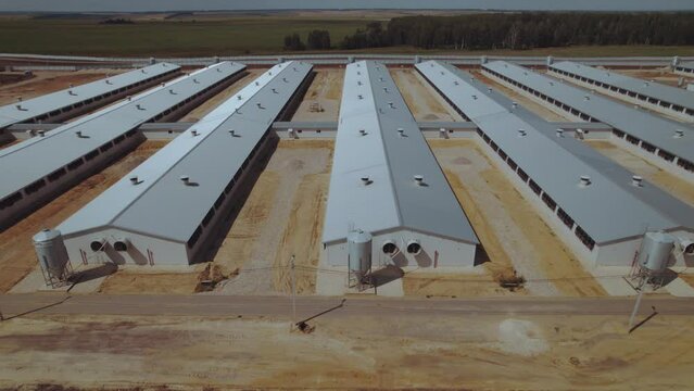 Aerial photography of pigsties, aerial photography of a pig breeding complex, aerial photography of a pig farm