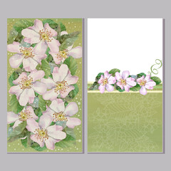 flowers cards with apples blooming