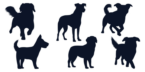 Collection of animal Dog in different positions