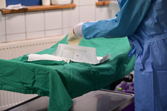 OP Vorbereitung in der Pferdeklinik. Ein auf dem R&uuml;cken liegendes Pferd wird f&uuml;r eine Kolik Operation vorbereitet