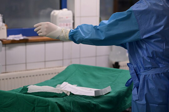 OP Vorbereitung in der Pferdeklinik. Ein auf dem R&uuml;cken liegendes Pferd wird f&uuml;r eine Kolik Operation vorbereitet