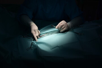 Operation eines auf dem Rücken liegenden Pferdes wegen Kolik in der Pferdeklinik