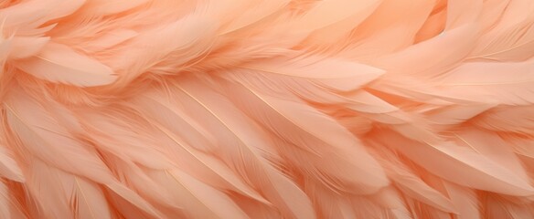 Fototapeta premium Soft Coral Peach Fuzz Feathers Texture Close-up. Close-up image capturing the delicate texture and soft coral hue of fluffy feathers, conveying a sense of gentleness and serenity.