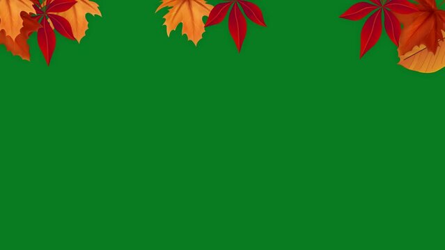 Cartoon autumn leaf frame animation on a green screen. Autumn leaf frame animation with key color. 