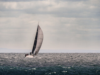 Fototapeta premium Billowing Spiniker