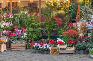 Street flower shop