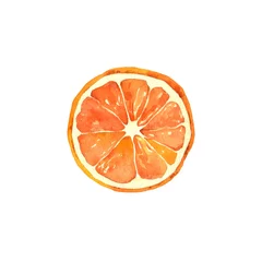 Foto op Plexiglas Orange slice on white. Watercolor illustration, poster. © Viktoryia