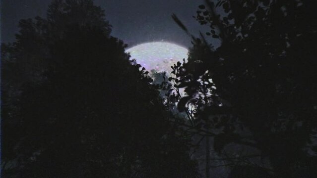 Nightmare dark forest stylized as a VHS tape