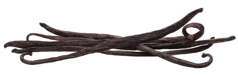 Vanilla bean isolated on white background, clipping path, full depth of field