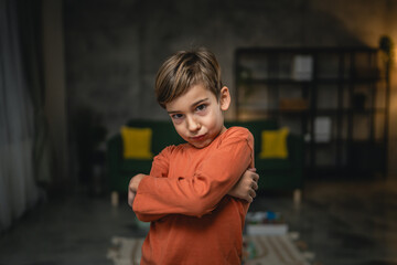 One boy caucasian child seven years old kid at home schoolboy portrait