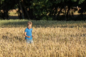 Naklejka na ściany i meble Little cheerful boy running in the rye field near the forest