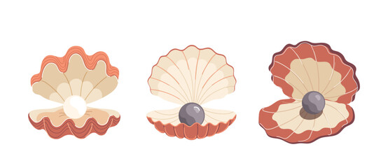 Elegance open pecten sea shell with shiny pearl balls inside isolated set on white background © Iryna Petrenko