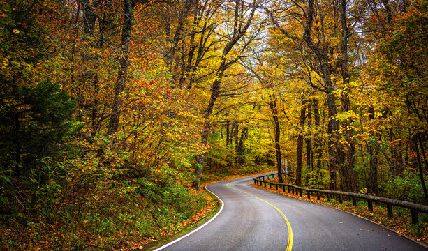 Winding road in New England Autumn