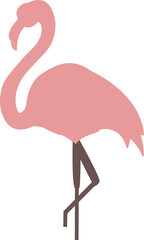Summer flamengo concept. Pink bird with feathers and wings. isolated on transparent, png.