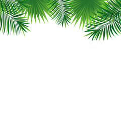 tropical frame vector. Green tropic card with rainforest plants and leaves. Amazon foliage promo banner. fresh idea for travel cover. advertising card, summer holidays, party designs.