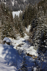 Kleinwalsertal - Bärguntbach - Winter / Kleinwalsertal - Bärguntbach - Winter /