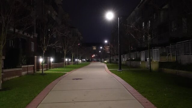 Peaceful Residential Street at Night with Illuminated Pathway