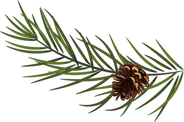 Pine with cones. Fir. Christmas decor. Green Christmas tree branch on transparent PNG. Winter sale, advertisement,banner