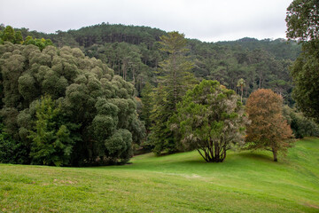 Obraz premium Landscape of a golf course with green grass and trees in the background