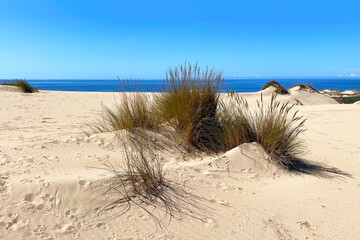 Sand dunes on the beach of Corralejo, Fuerteventura, Canary Islands, Spain