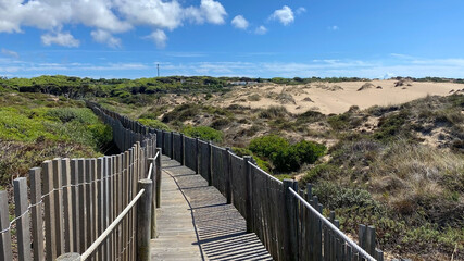 Wooden walkway leading to the dunes on the coast of the Atlantic Ocean in Portugal