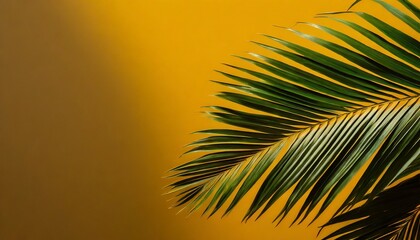 Tropical palm leaf isolated on dark yellow background, clipping path	
