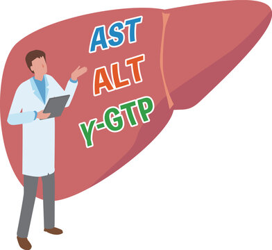 肝機能検査と医療従事者